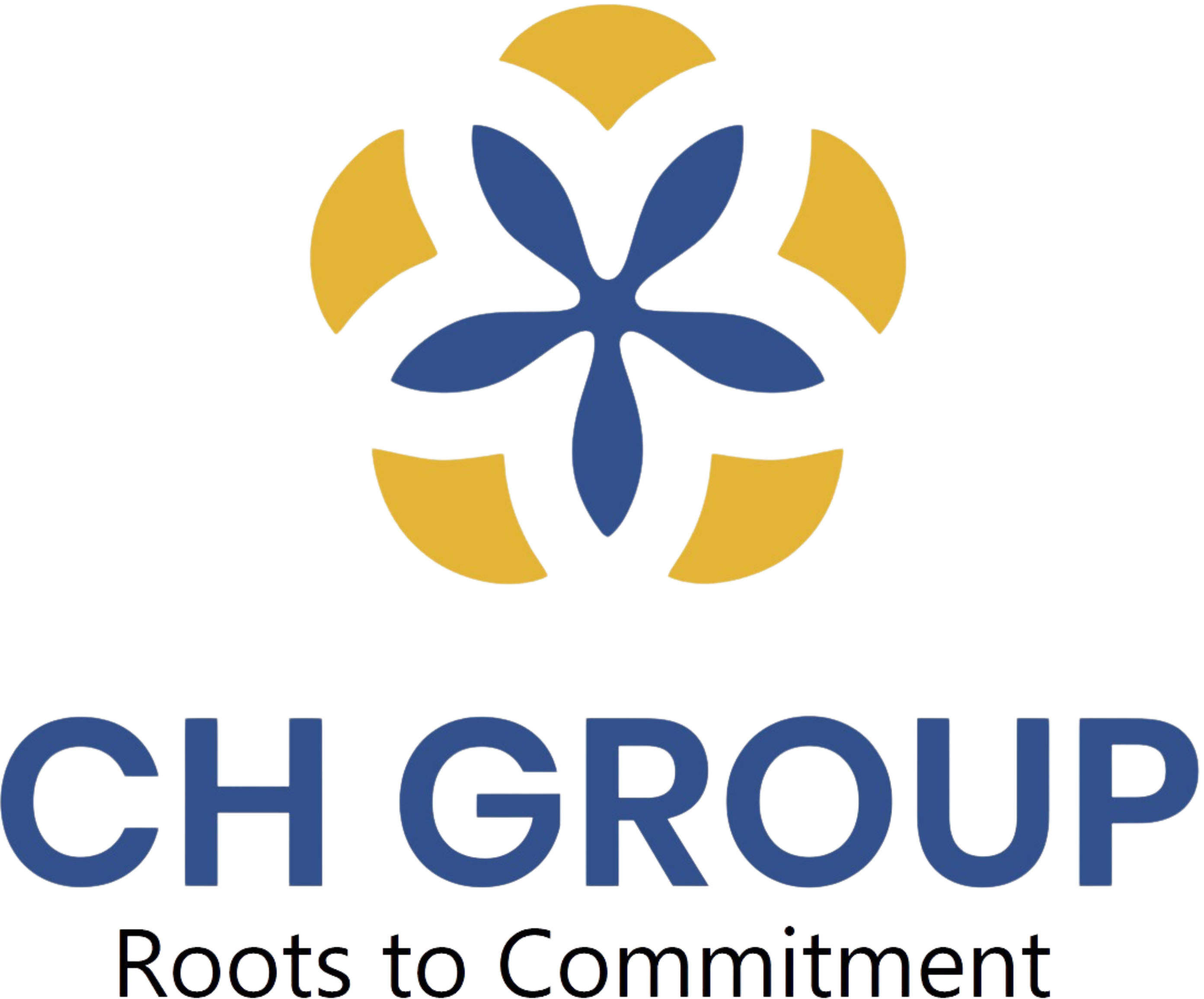 CH Group CH Group